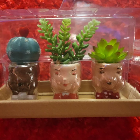 Kohl's Celebrate Together™ Valentine's Day Artificial Succulent Planter 3-pieces - Picture 5 of 16